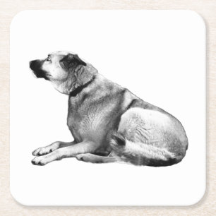 Soft Shadow Watch Square Paper Coaster