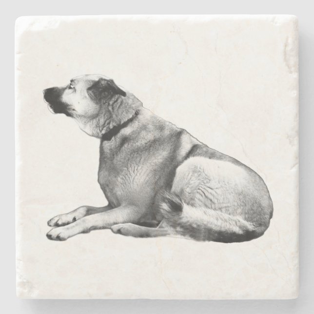 Soft Shadow Watch Stone Coaster (Front)