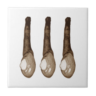 Soft-Shelled Clams Tile