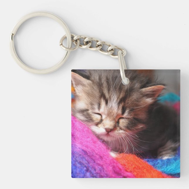 Soft Sleepy Newborn Kitten Phototgraph Keychain (Front)