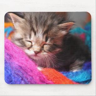 Soft Sleepy Newborn Kitten Phototgraph Mouse Pad
