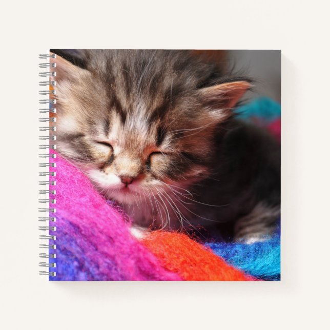 Soft Sleepy Newborn Kitten Phototgraph Notebook (Front)