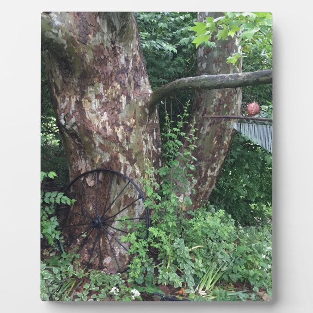 Soft summer rain plaque (Front)