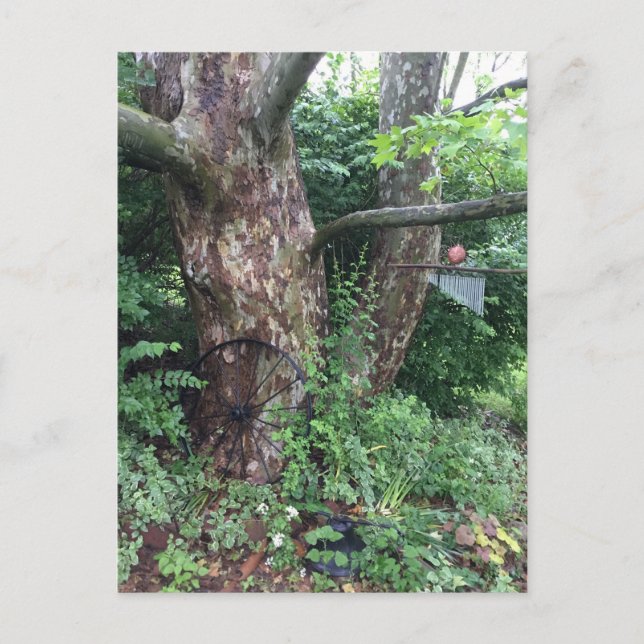 Soft summer rain postcard (Front)