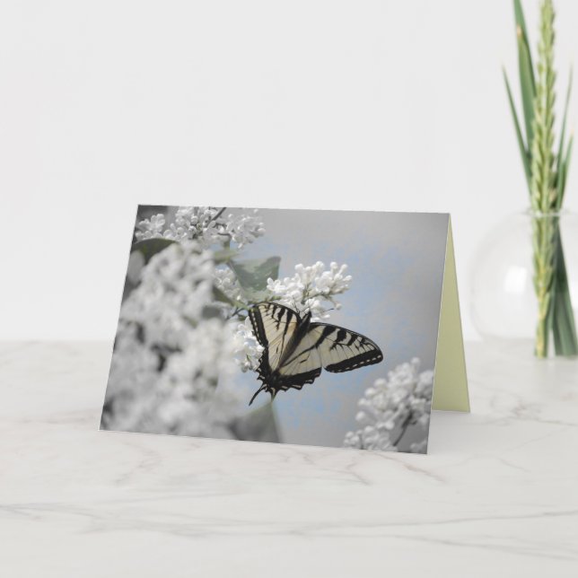 Soft Touch Card (Front)