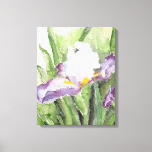 Soft Watercolor Iris Canvas Print