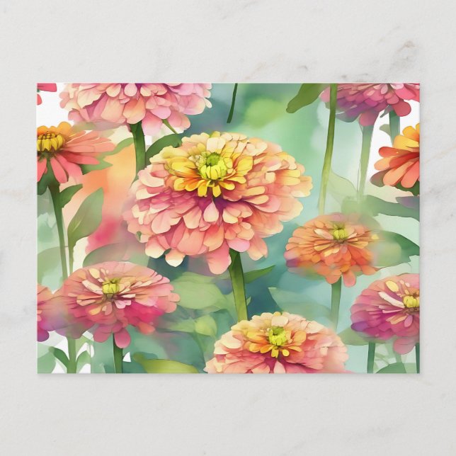 Soft Watercolor Zinnia Floral Postcard (Front)