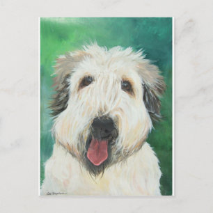 Soft Wheaton Terrier dog images Postcard