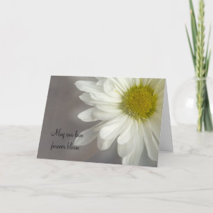 Soft White Daisy on Gray Wedding Invitation Card