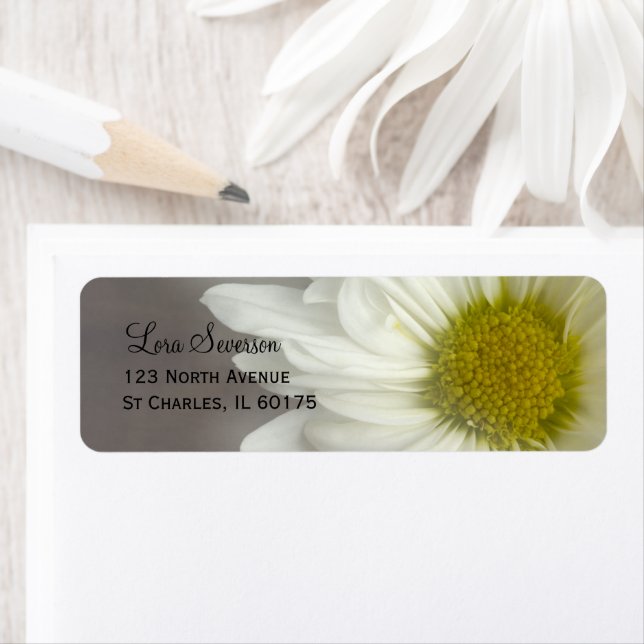 Soft White Daisy on Grey Return Address (Insitu)