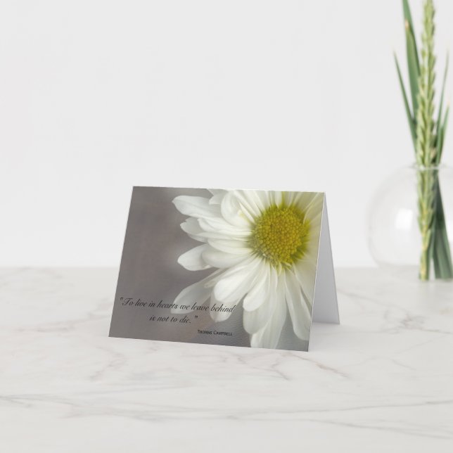 Soft White Daisy Thank You for Your Sympathy (Front)
