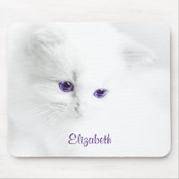 Soft White Kitten with Purple Eyes Personalized