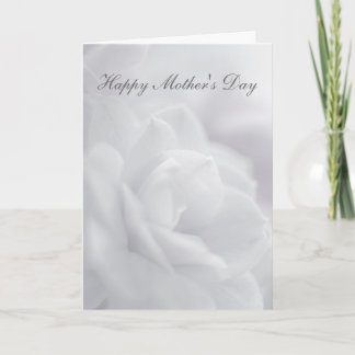 Soft white petals ... card
