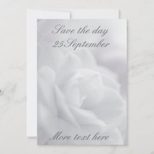 Soft white petals ... invitation