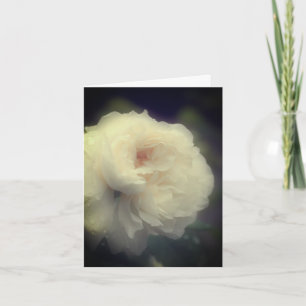 Soft White Rose Flower Customizable Note Card