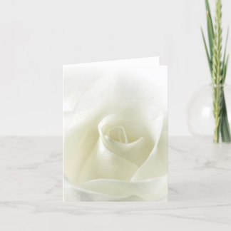 Soft White Rose Note Card