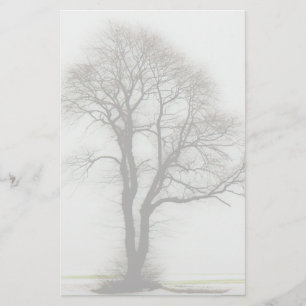 Soft winter tree stationery
