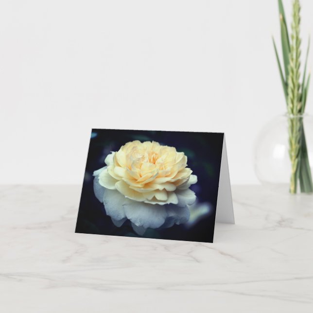 Soft Yellow Rose Flower Photography  Note Card (Front)