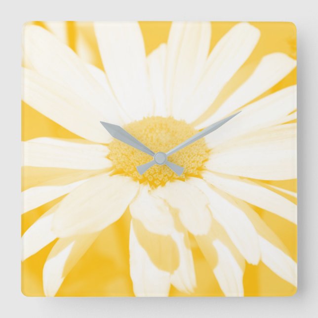 Soft Yellow White Daisy  Square Wall Clock (Front)