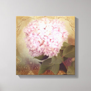 Softly Summer 2 Vintage Pink Hydrangea Blossom Canvas Print