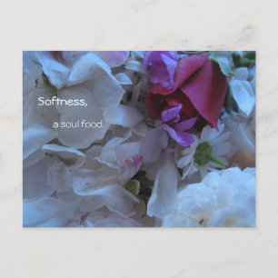 Softness, a soul food, postcard