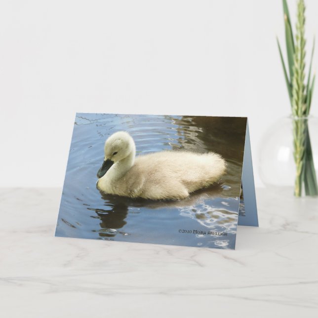 Softness of a Child Card (Front)