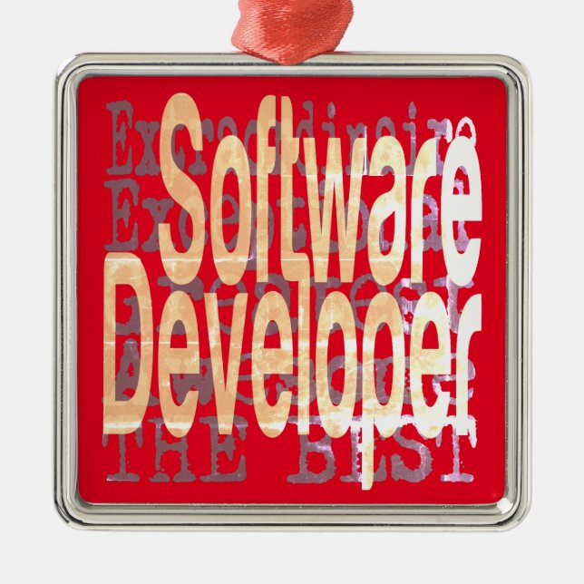 Software Developer Extraordinaire Metal Ornament (Front)