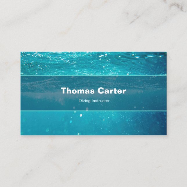 Software Developer Programer International Card (Front)