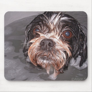 Soggy Doggy Mousepad
