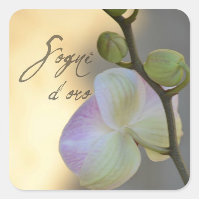 Sogni D'oro (sweet dreams) Orchid Square Sticker (Front)