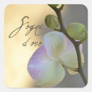 Sogni D'oro (sweet dreams) Orchid Square Sticker