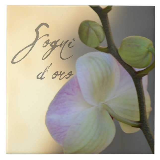 Sogni D'oro (sweet dreams) Orchid Tile (Front)