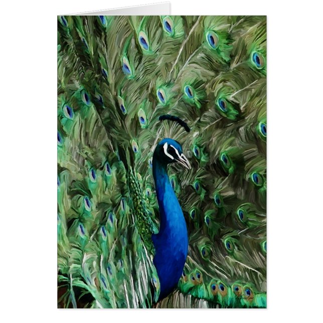 Soin de note de paon (Devant)