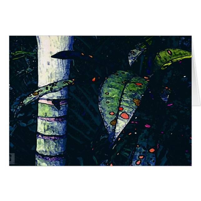 Soirée tropicale (Devant horizontal)