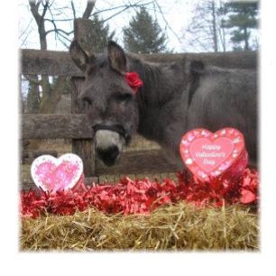 "Sois ma Saint-Valentin !" Carte pour les fêtes