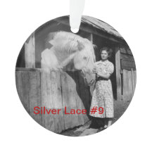 soixante-dixième Ornement argenté de la dentelle