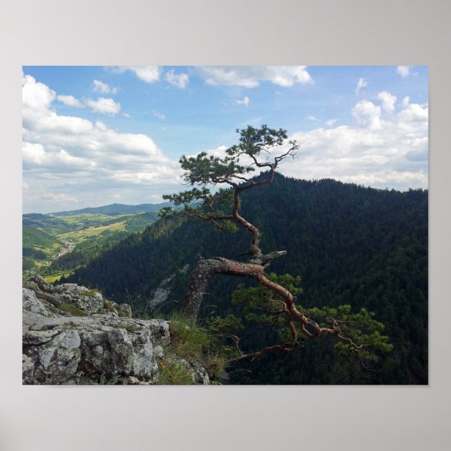 Sokolica, Pieniny Poster (Front)