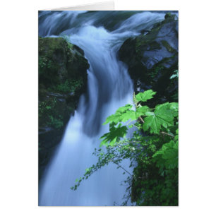 Sol Duc Falls 2