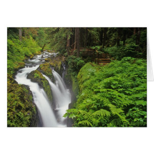 Sol Duc Falls in Olympic National Park in 2