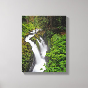 Sol Duc Falls in Olympic National Park in 2 Canvas Print