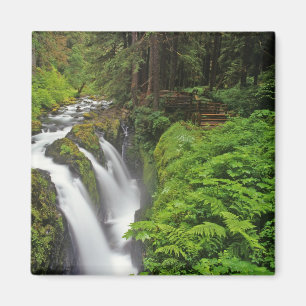 Sol Duc Falls in Olympic National Park in 2 Magnet