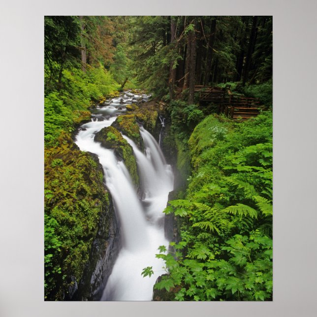 Sol Duc Falls in Olympic National Park in 2 Poster (Front)