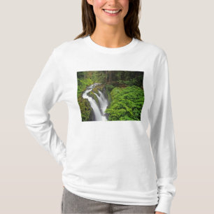 Sol Duc Falls in Olympic National Park in 2 T-Shirt