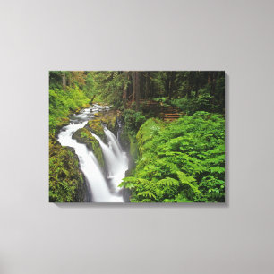 Sol Duc Falls in Olympic National Park in Canvas Print