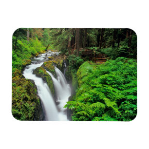 Sol Duc Falls in Olympic National Park in Magnet