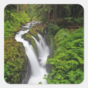 Sol Duc Falls in Olympic National Park in Square Sticker