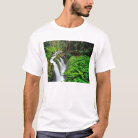Sol Duc Falls in Olympic National Park in