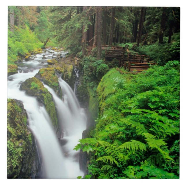 Sol Duc Falls in Olympic National Park in Tile (Front)