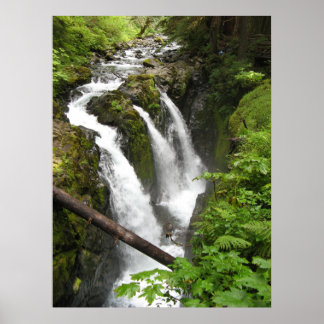 Sol Duc Falls Poster