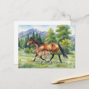 Sola Icelandic Horse and Foal in Mountain Meadow Postcard